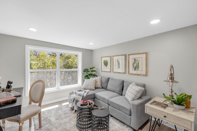 living area featuring recessed lighting, baseboards, and wood finished floors