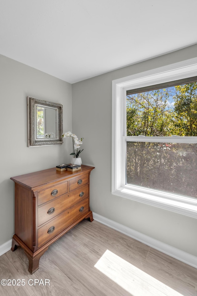 details featuring baseboards and wood finished floors