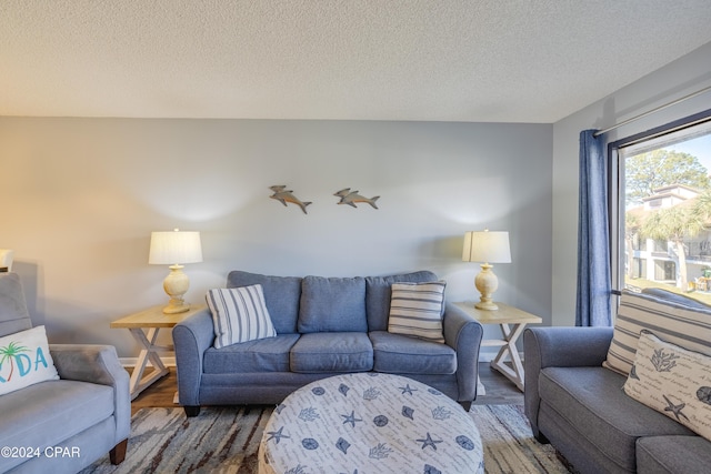 living room featuring dark wood-type flooring and a textured ceiling