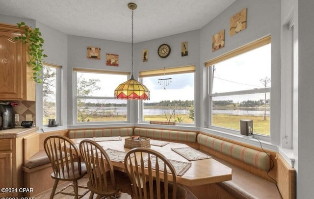 interior space featuring breakfast area