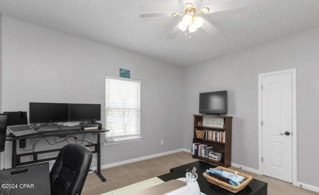 carpeted office featuring ceiling fan