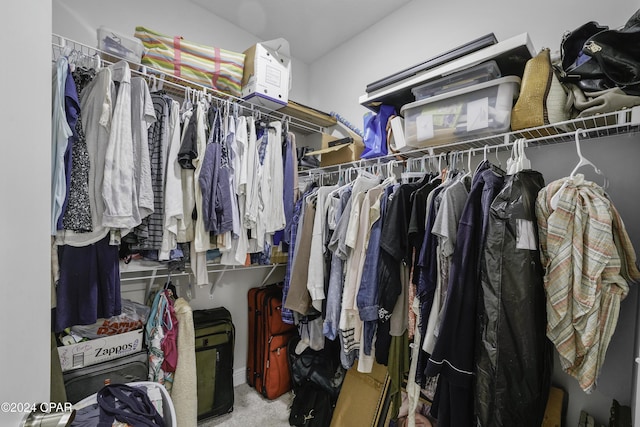 spacious closet featuring carpet flooring