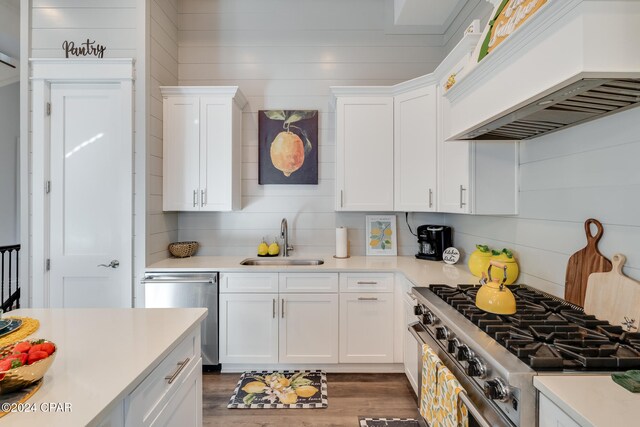 kitchen with appliances with stainless steel finishes, custom range hood, sink, white cabinets, and dark hardwood / wood-style floors