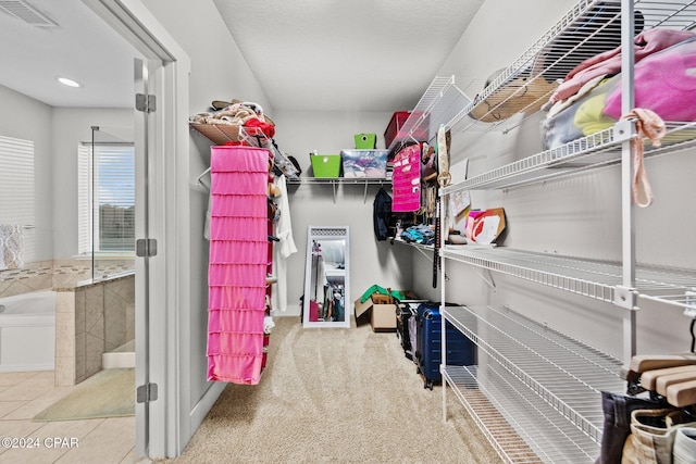 spacious closet featuring carpet