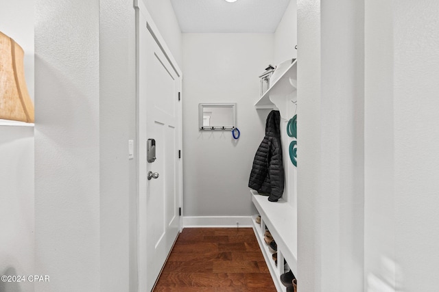 mudroom with dark hardwood / wood-style flooring