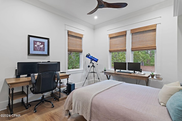 bedroom featuring multiple windows, ceiling fan, and wood-type flooring