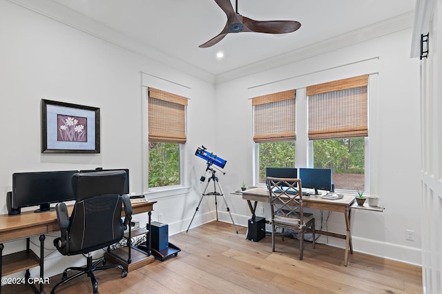 home office with light wood-type flooring, plenty of natural light, ceiling fan, and ornamental molding