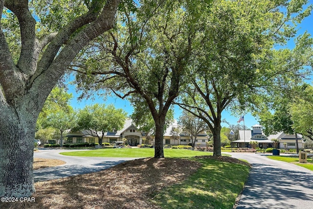 view of property's community with a yard