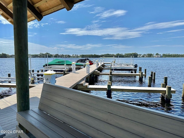 dock area with a water view