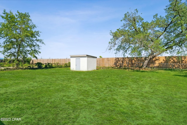 view of yard featuring a shed