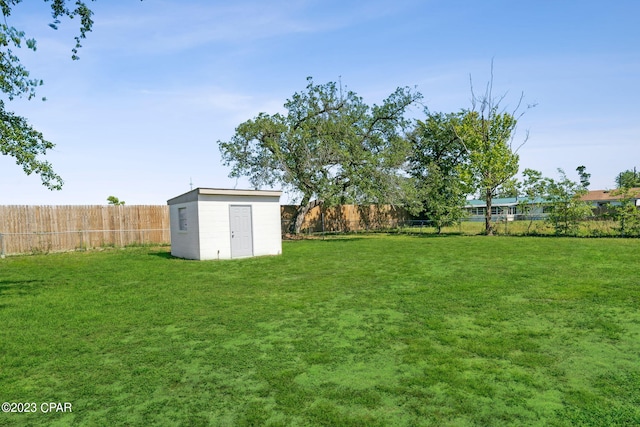 view of yard featuring a storage shed