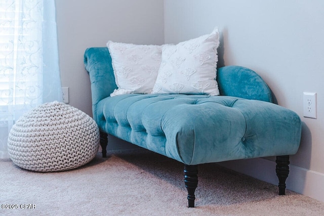 living area with carpet