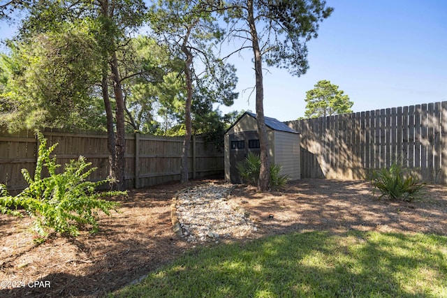 view of yard featuring a shed