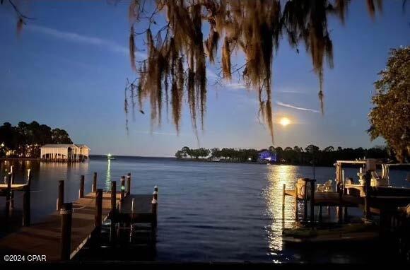 dock area with a water view