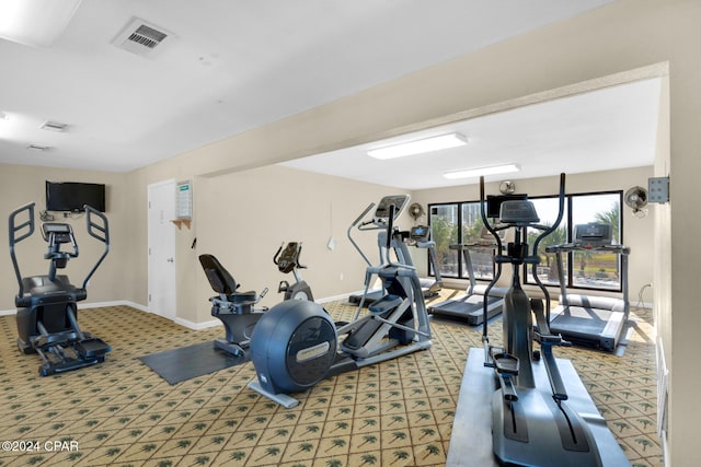 exercise area featuring carpet floors