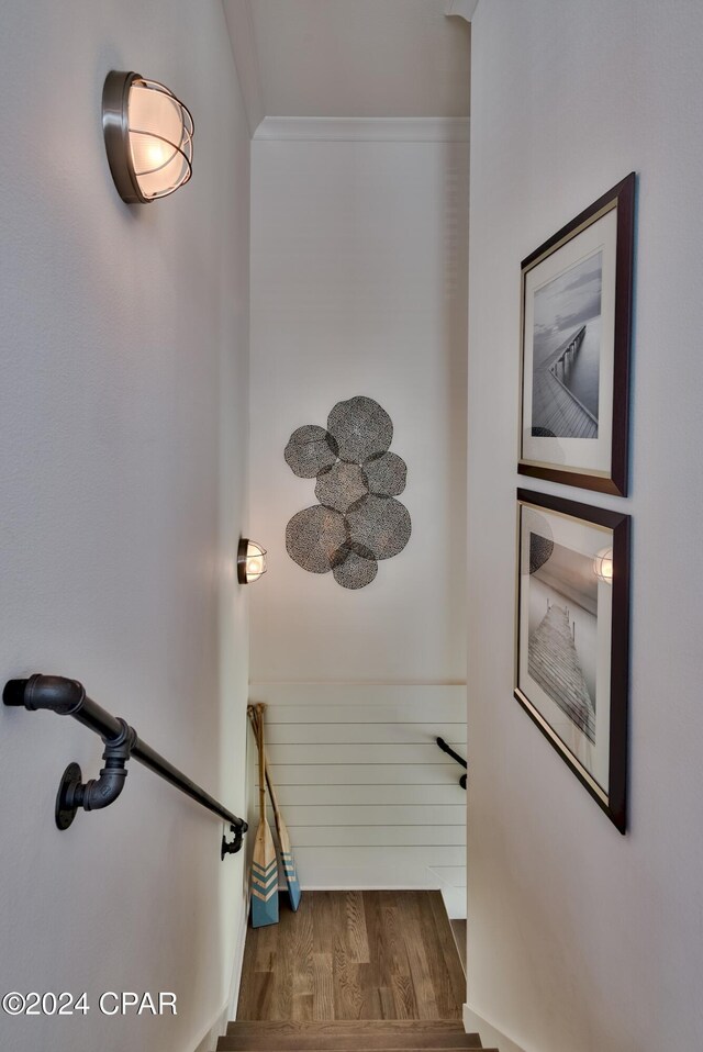 stairs featuring crown molding and hardwood / wood-style floors