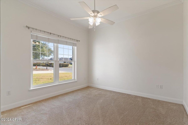 carpeted empty room with crown molding and ceiling fan