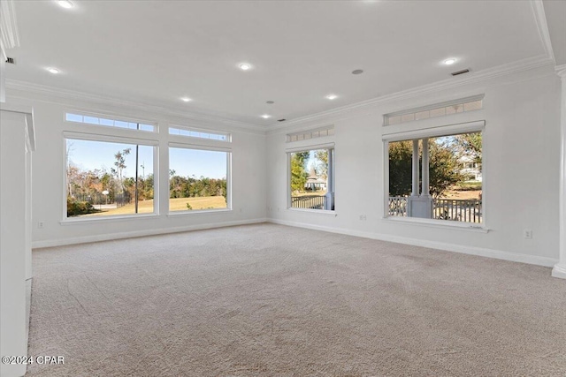 empty room with carpet flooring and ornamental molding