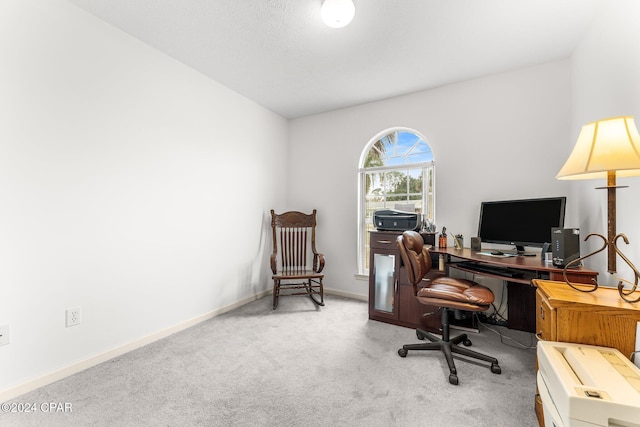 office area featuring light colored carpet