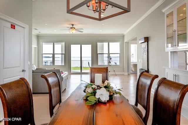 dining space with crown molding, ceiling fan with notable chandelier, and light hardwood / wood-style flooring