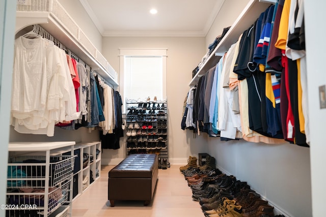 spacious closet featuring light hardwood / wood-style flooring