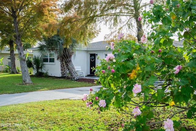 obstructed view of property featuring a front yard