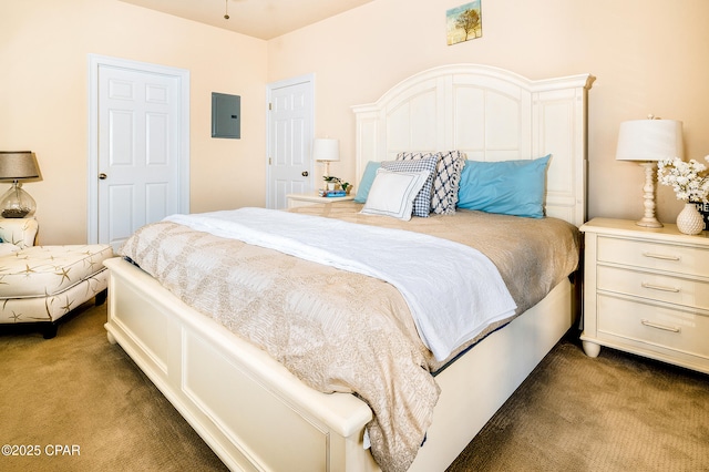 carpeted bedroom featuring electric panel