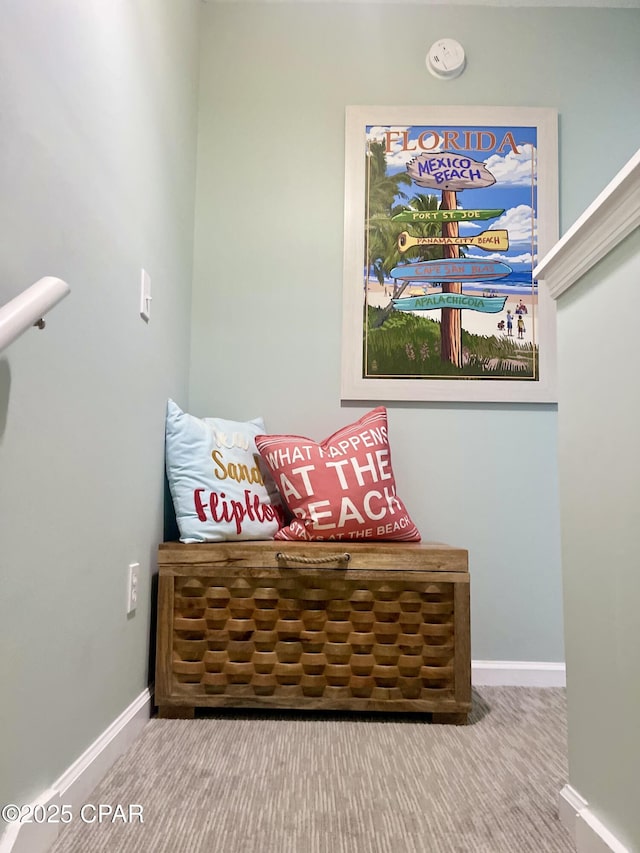 living area with carpet floors