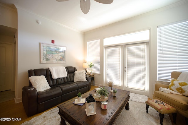 living room featuring ceiling fan, ornamental molding, and wood-type flooring