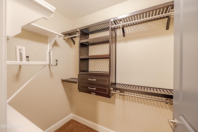 spacious closet featuring carpet