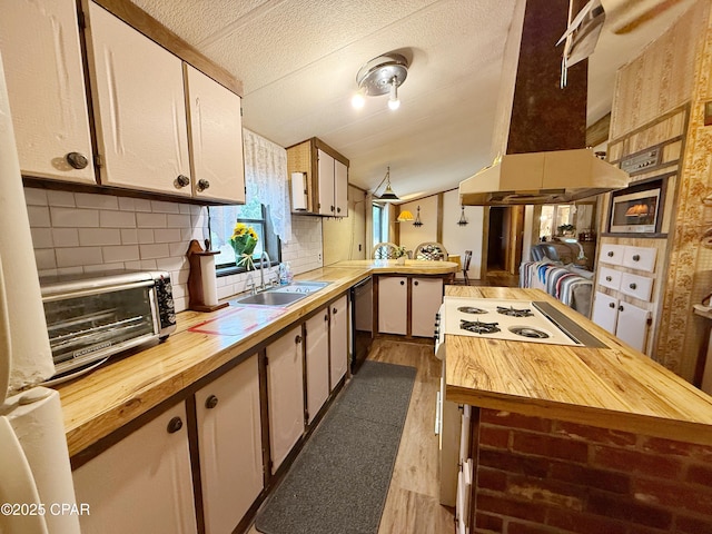 kitchen with dishwasher, sink, tasteful backsplash, island range hood, and kitchen peninsula