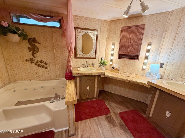 bathroom featuring a washtub, vanity, and hardwood / wood-style flooring