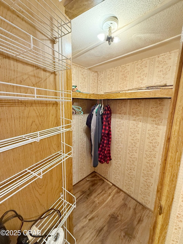 walk in closet featuring wood-type flooring