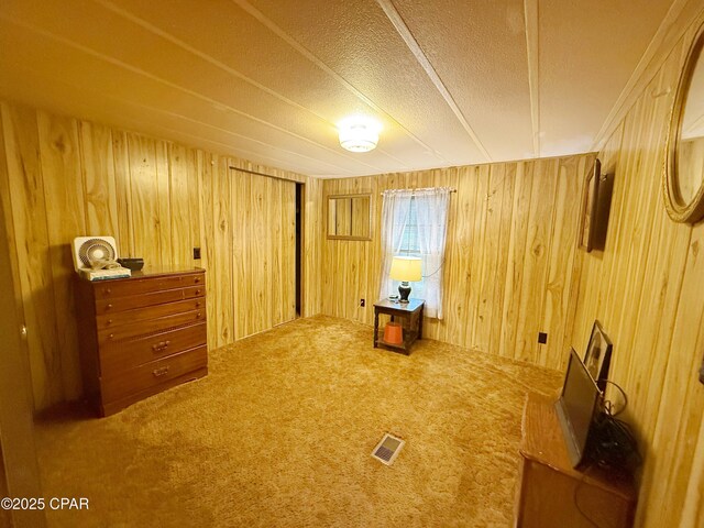 interior space with carpet and wooden walls