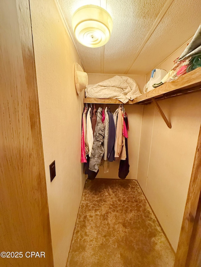 spacious closet with carpet floors