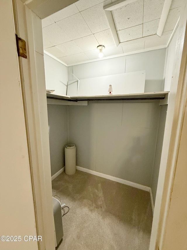 walk in closet featuring light colored carpet