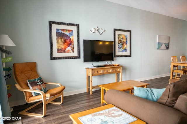 living room with dark wood-type flooring