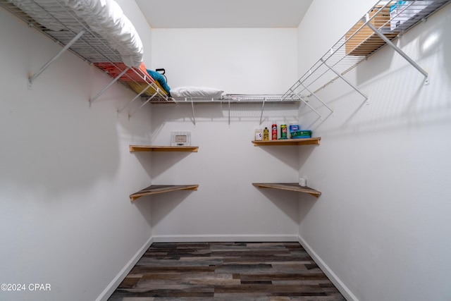 walk in closet featuring dark hardwood / wood-style flooring