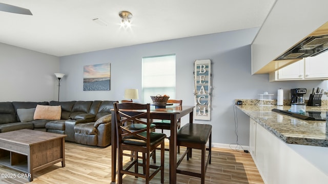 living room featuring light hardwood / wood-style floors