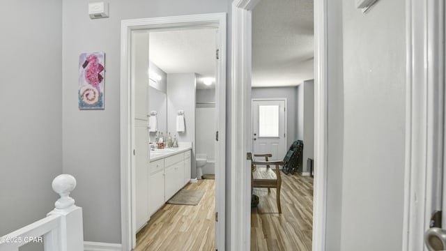 bathroom featuring wood-type flooring, vanity, a textured ceiling, and toilet