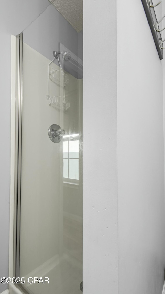 bathroom featuring a shower with door