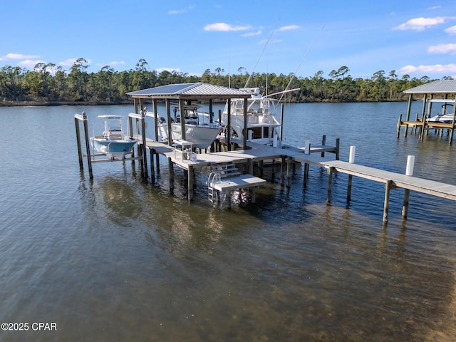 dock area with a water view