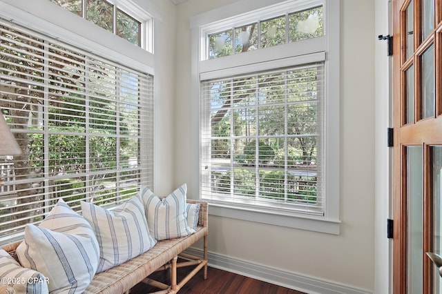 interior space featuring dark hardwood / wood-style flooring and plenty of natural light