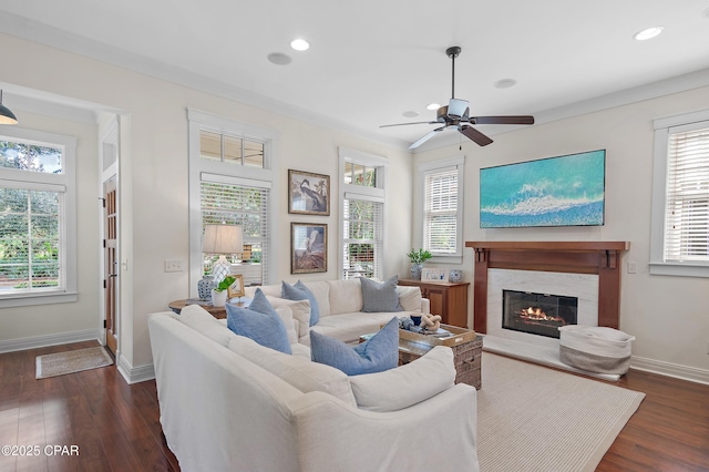 living room featuring ceiling fan and dark wood-type flooring