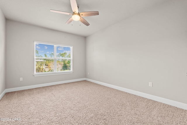 unfurnished room featuring ceiling fan and carpet flooring