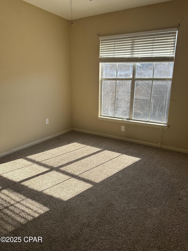 carpeted empty room with a wealth of natural light