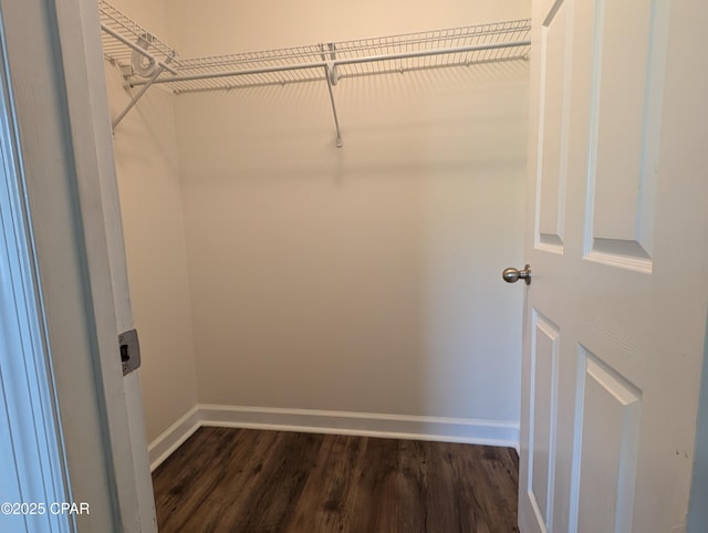 walk in closet featuring dark wood-type flooring