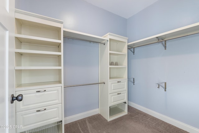 spacious closet featuring dark carpet