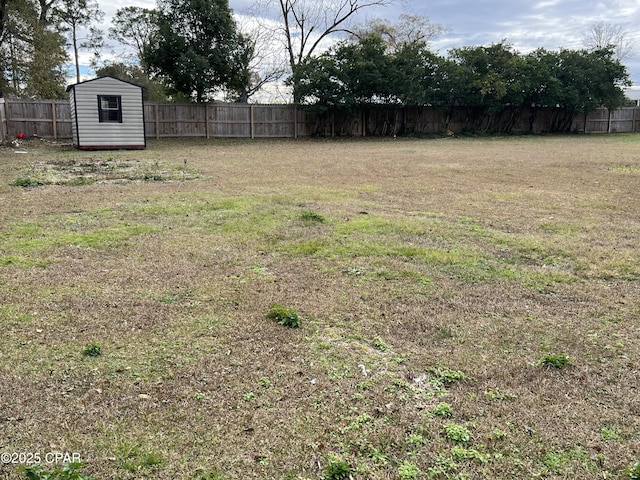 view of yard with a storage shed