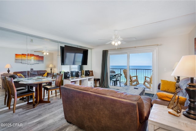 living room with ceiling fan and light wood-type flooring